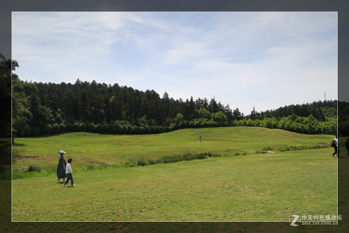 我看像动物园，为什么要叫百草园呢？浙江人真会。。。。。。。！