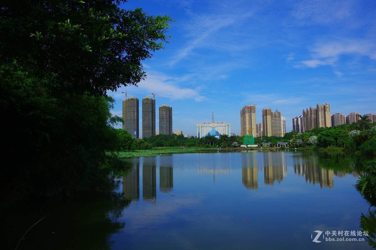 绿树蓝天