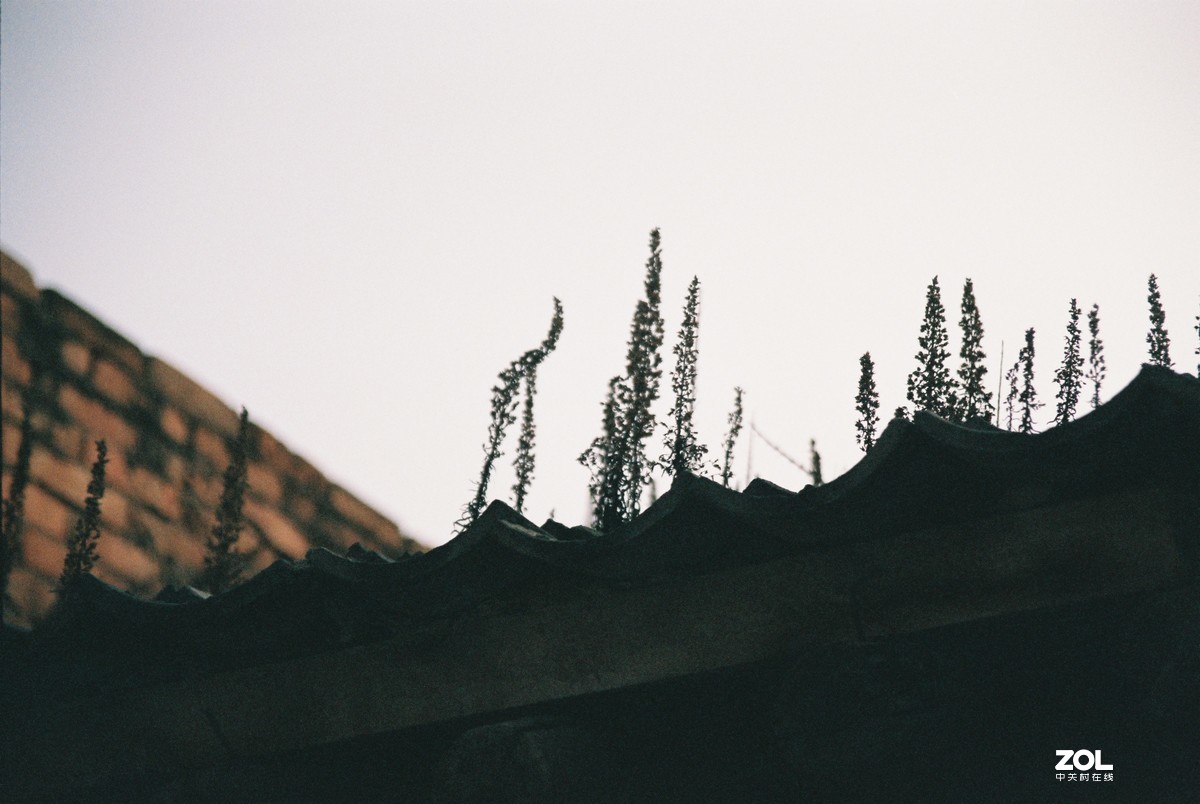 EOS300Date+EF28-70II 一组胶片拍摄的