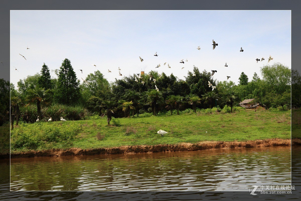 我看像动物园，为什么要叫百草园呢？浙江人真会。。。。。。。！