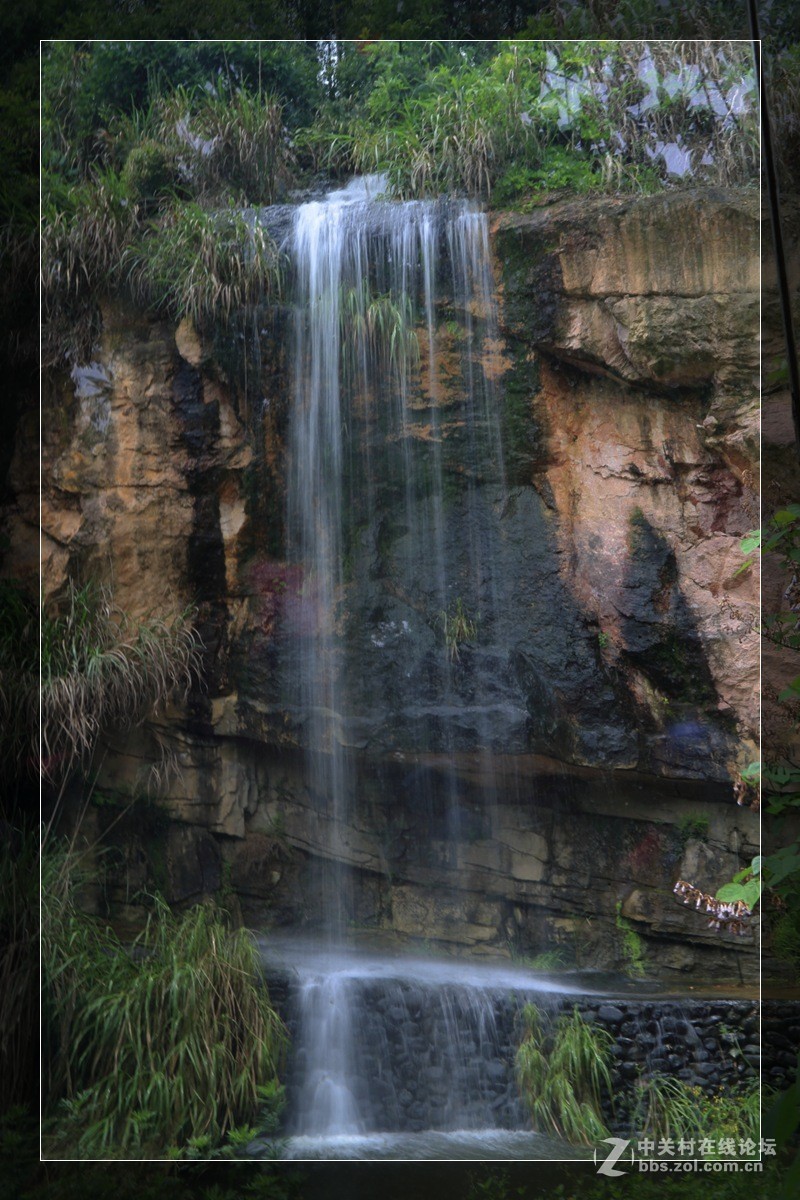 我看像动物园，为什么要叫百草园呢？浙江人真会。。。。。。。！