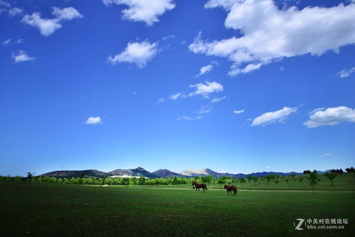 【望花湖风光】拍摄于方城望花湖景区