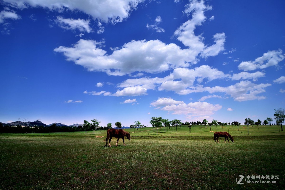 【望花湖风光】拍摄于方城望花湖景区