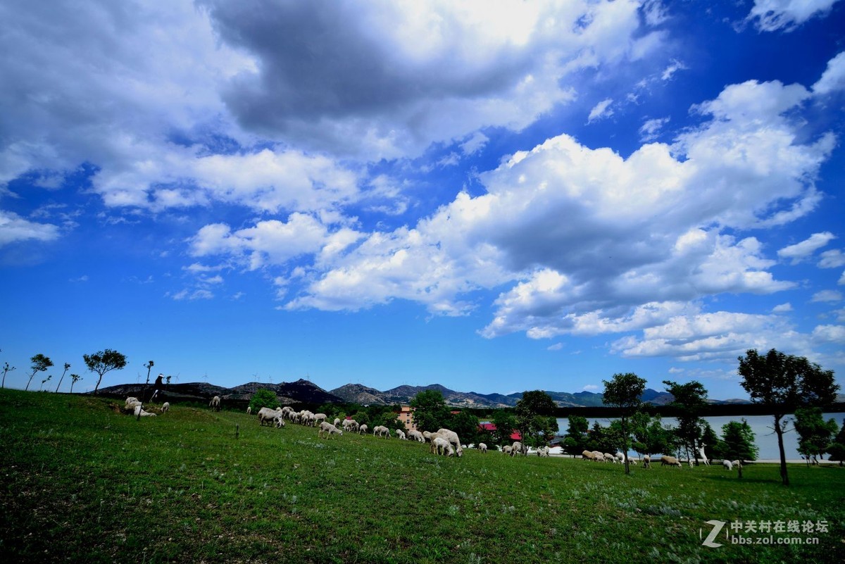 【望花湖风光】拍摄于方城望花湖景区