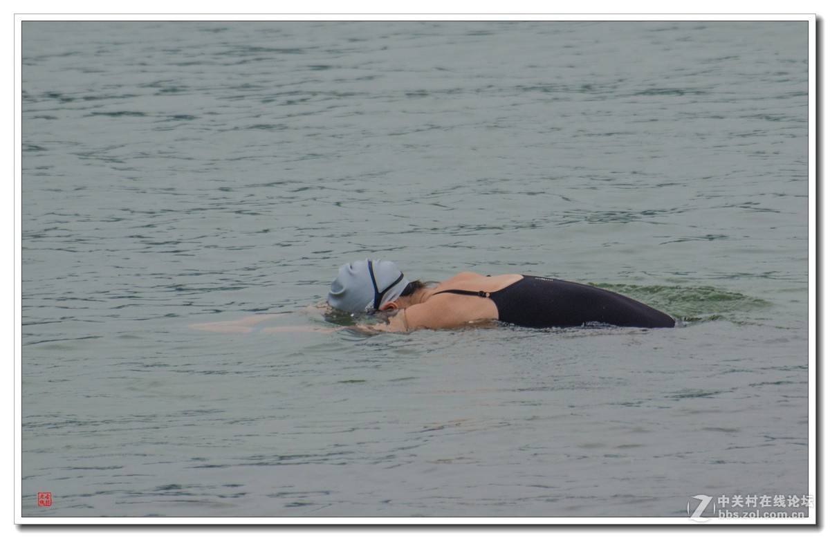 江边美女泳---支持侦察兵抓拍