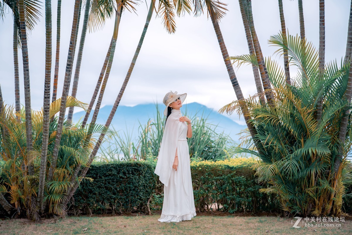 大亚湾核电站醉美海景