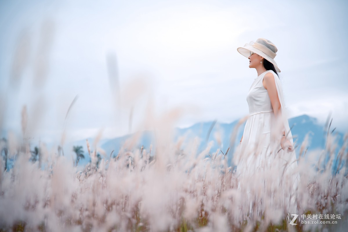 大亚湾核电站醉美海景