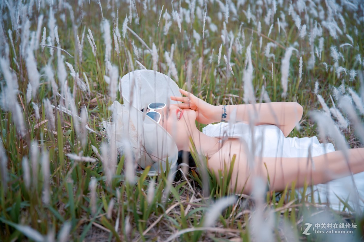 大亚湾核电站醉美海景