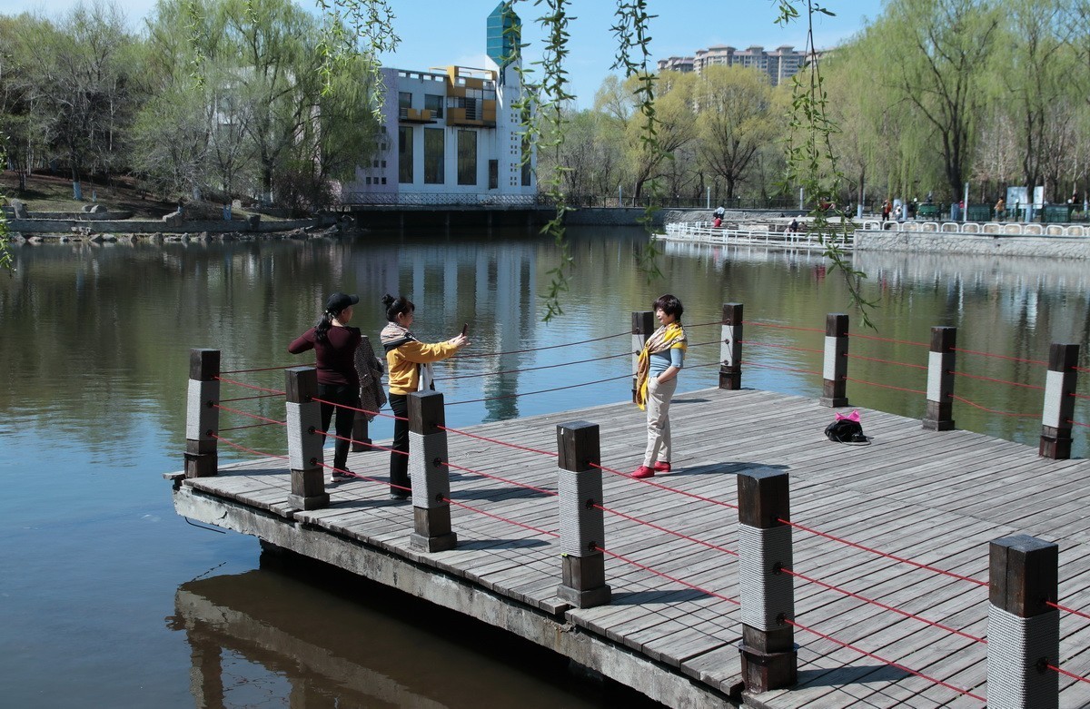 今日立夏 . 昨天雨雪过后春花初绽