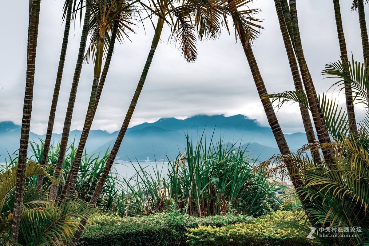 大亚湾核电站醉美海景