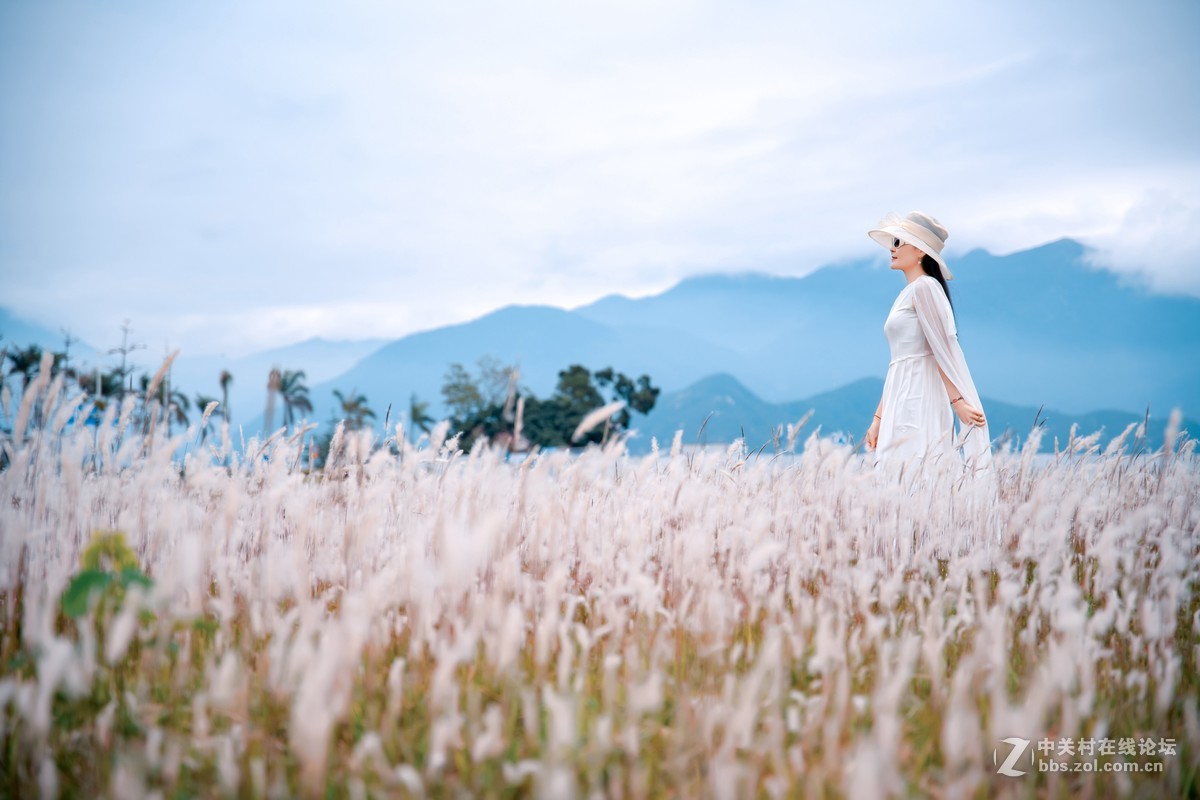 大亚湾核电站醉美海景