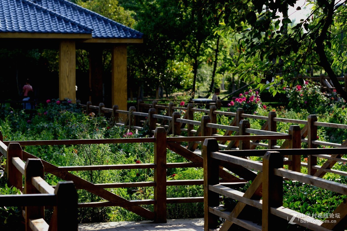 运城天逸公园景色