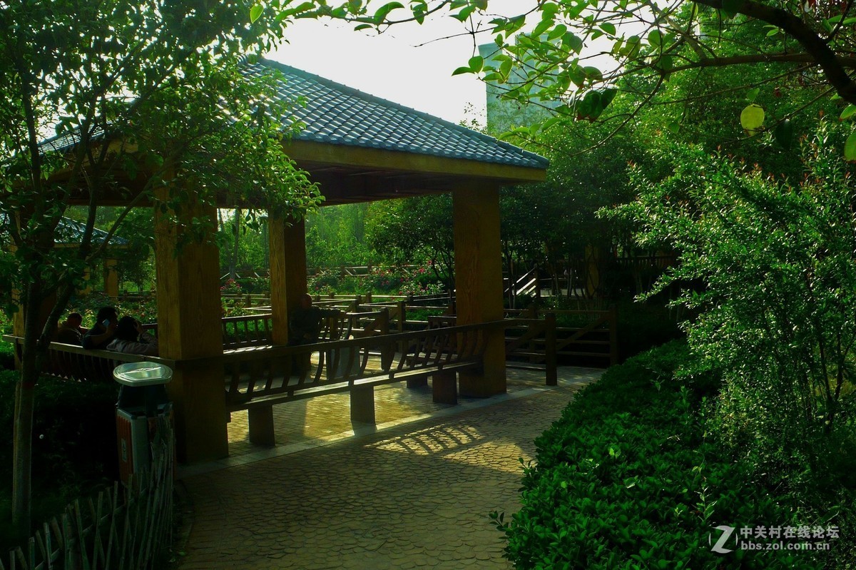 运城天逸公园景色