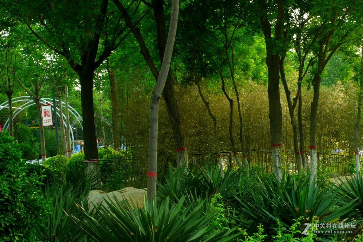 运城天逸公园景色