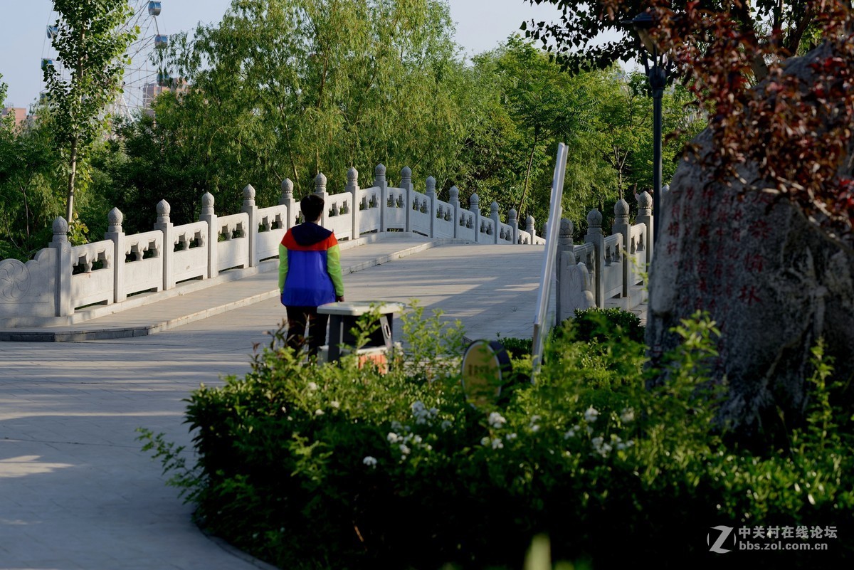 运城天逸公园景色
