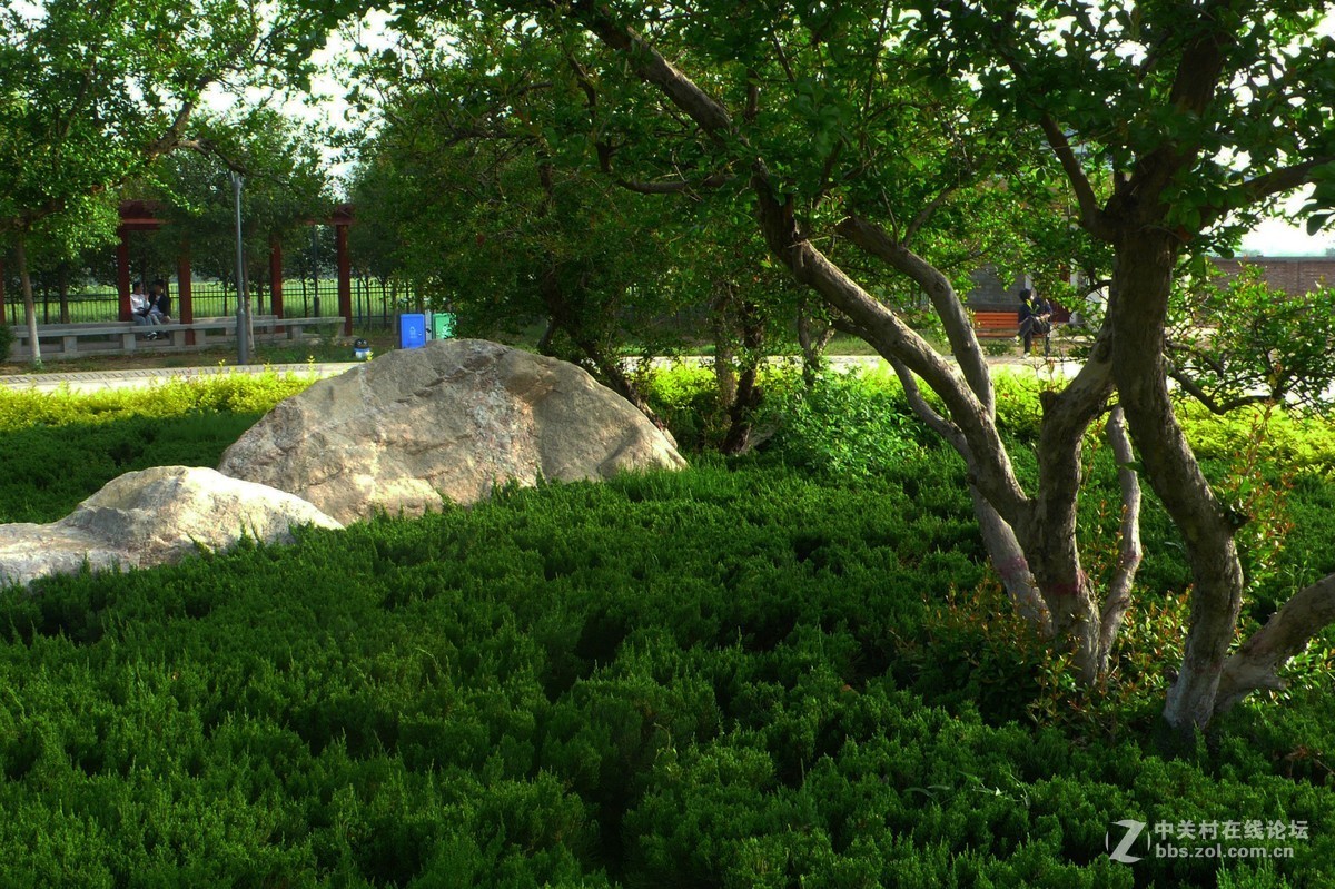 运城天逸公园景色