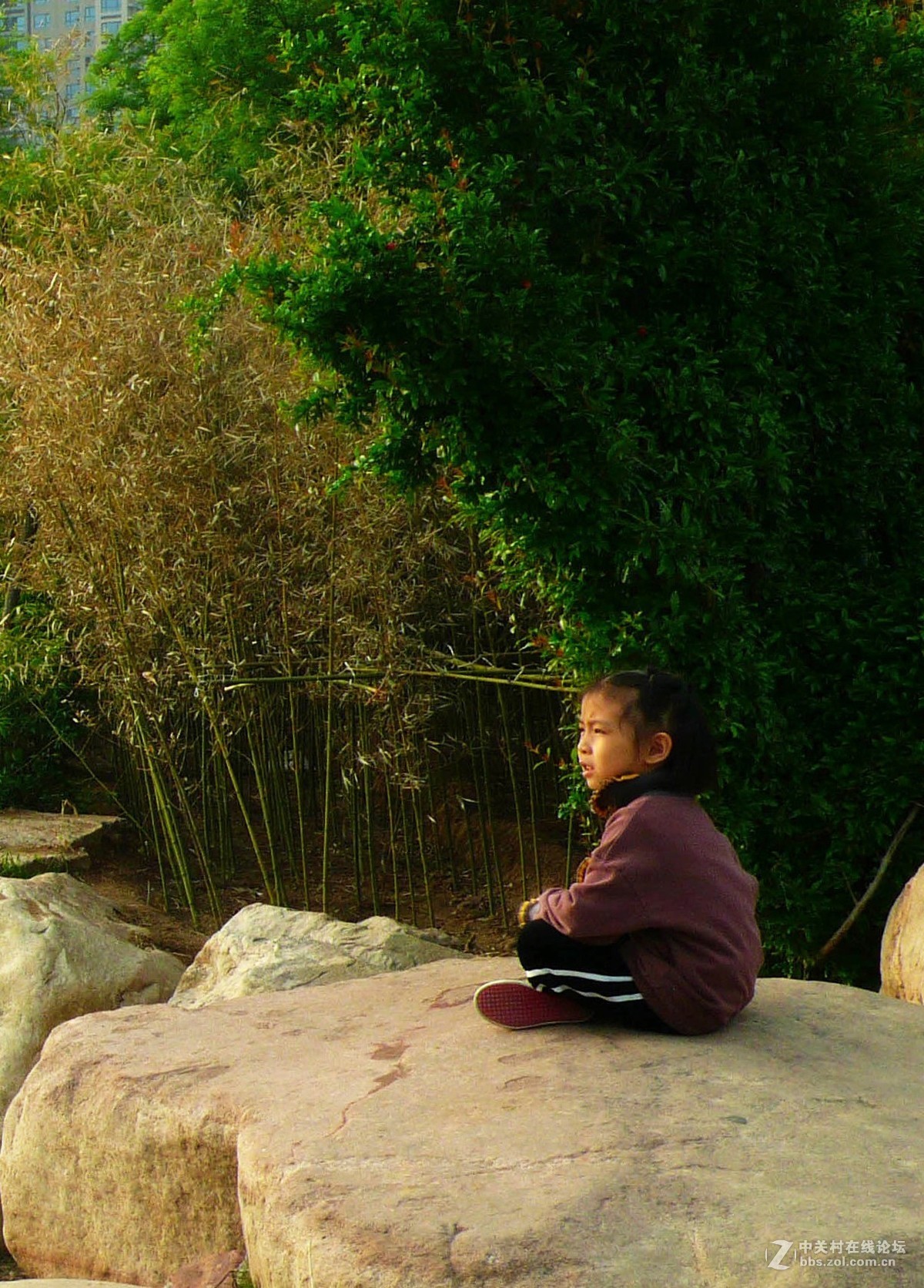 运城天逸公园景色