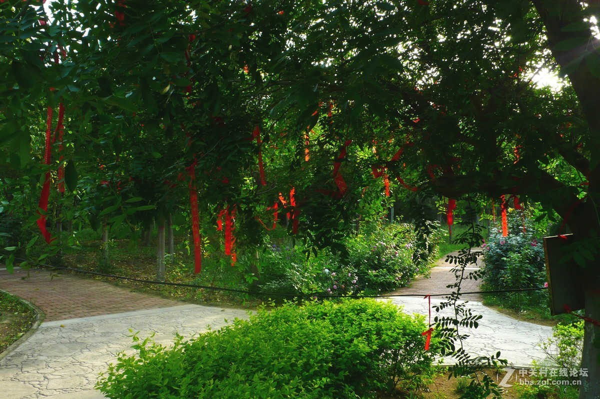 运城天逸公园景色