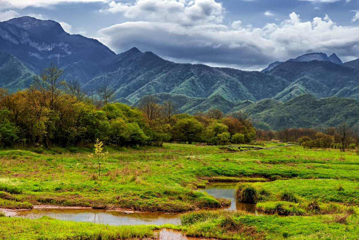 江南行9鄂西大九湖湿地