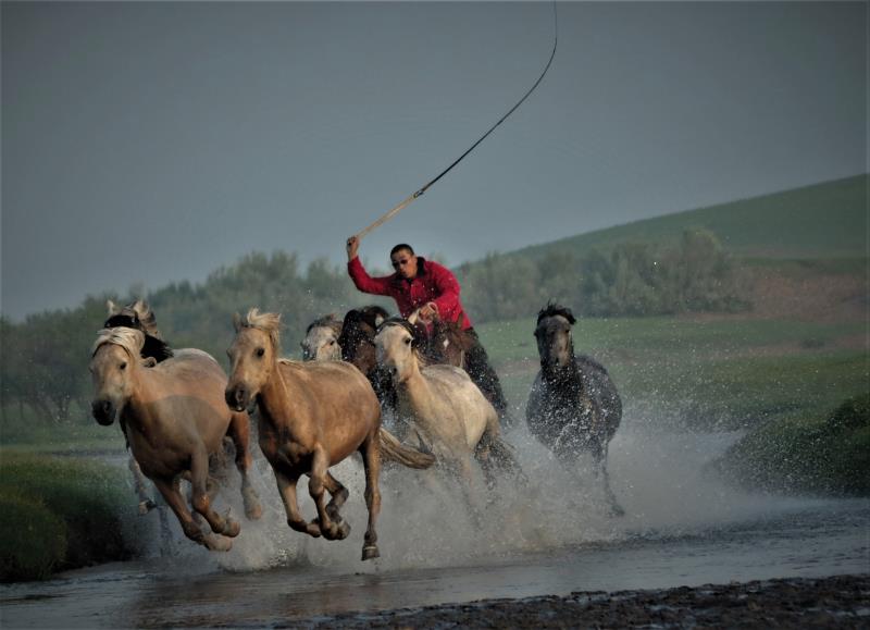 请欣赏乌兰布统大草原马踏水