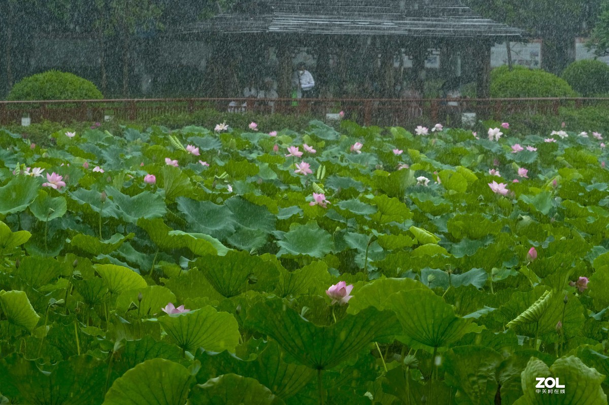 风雨风景