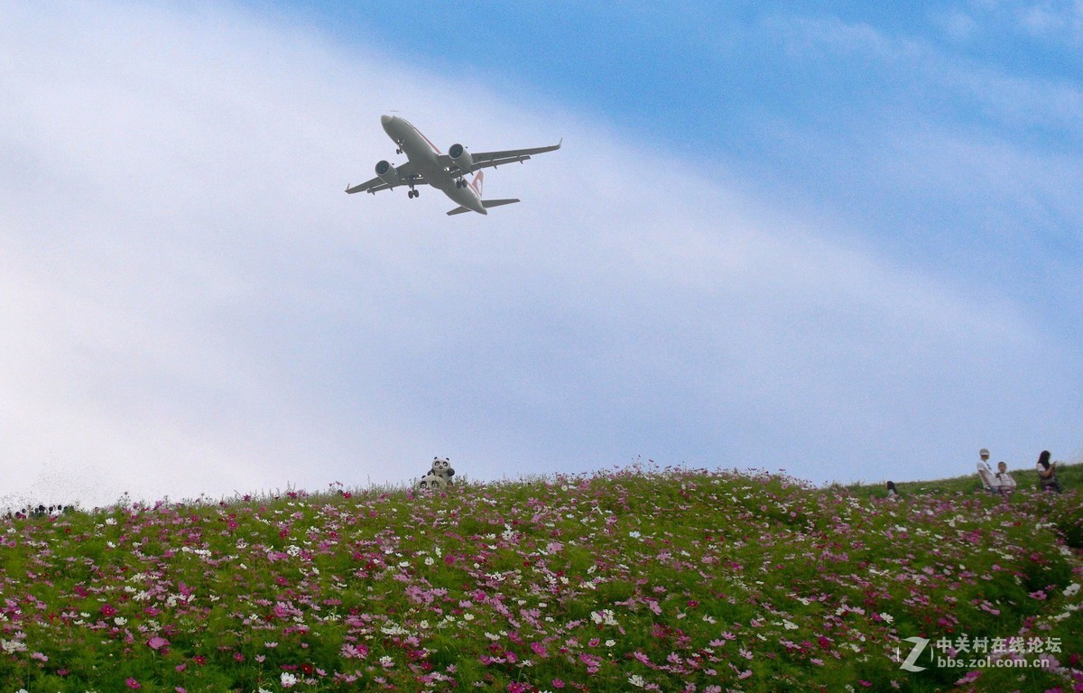 空港花园成都图片