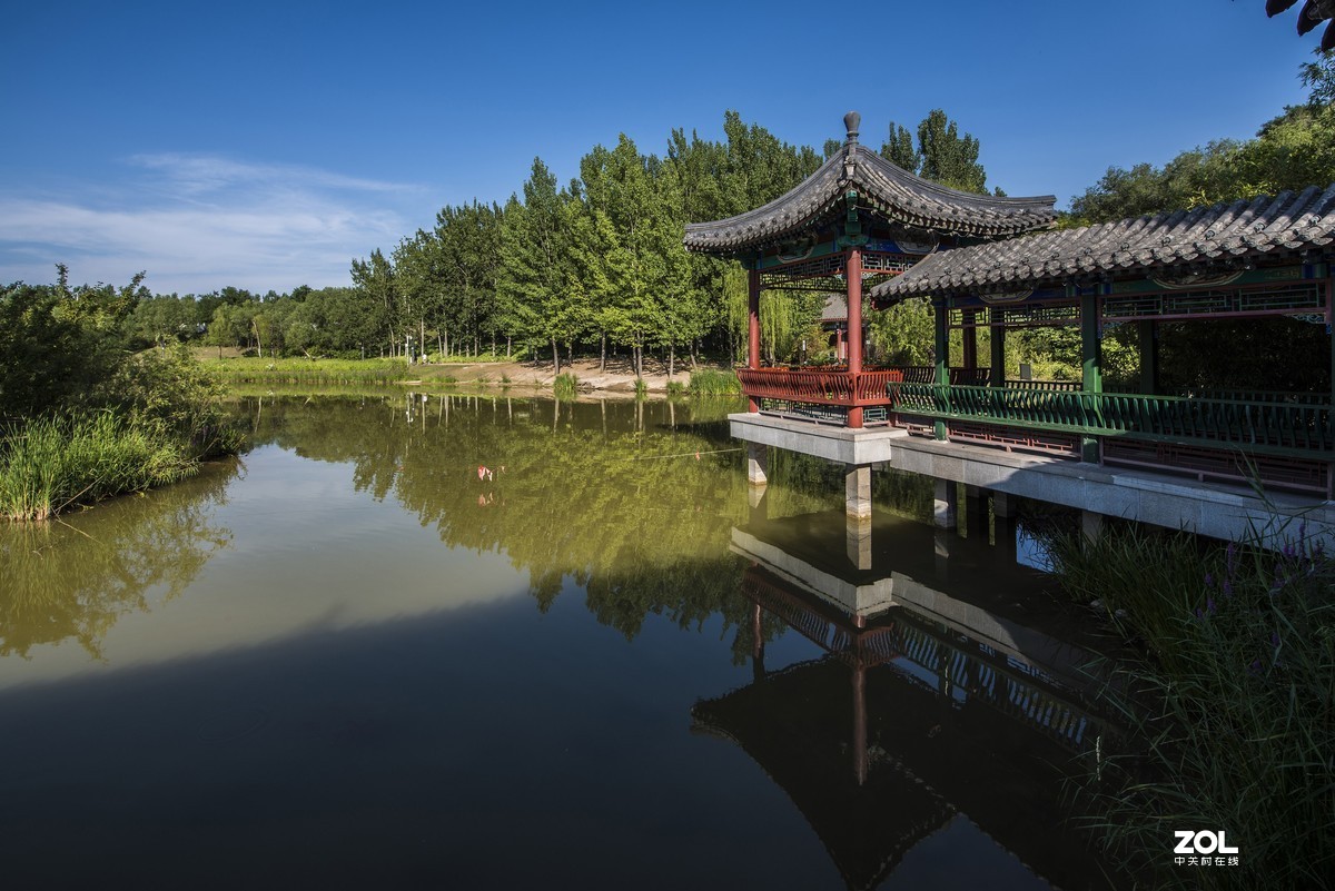 临汾涝洰河公园夏日风光（1）