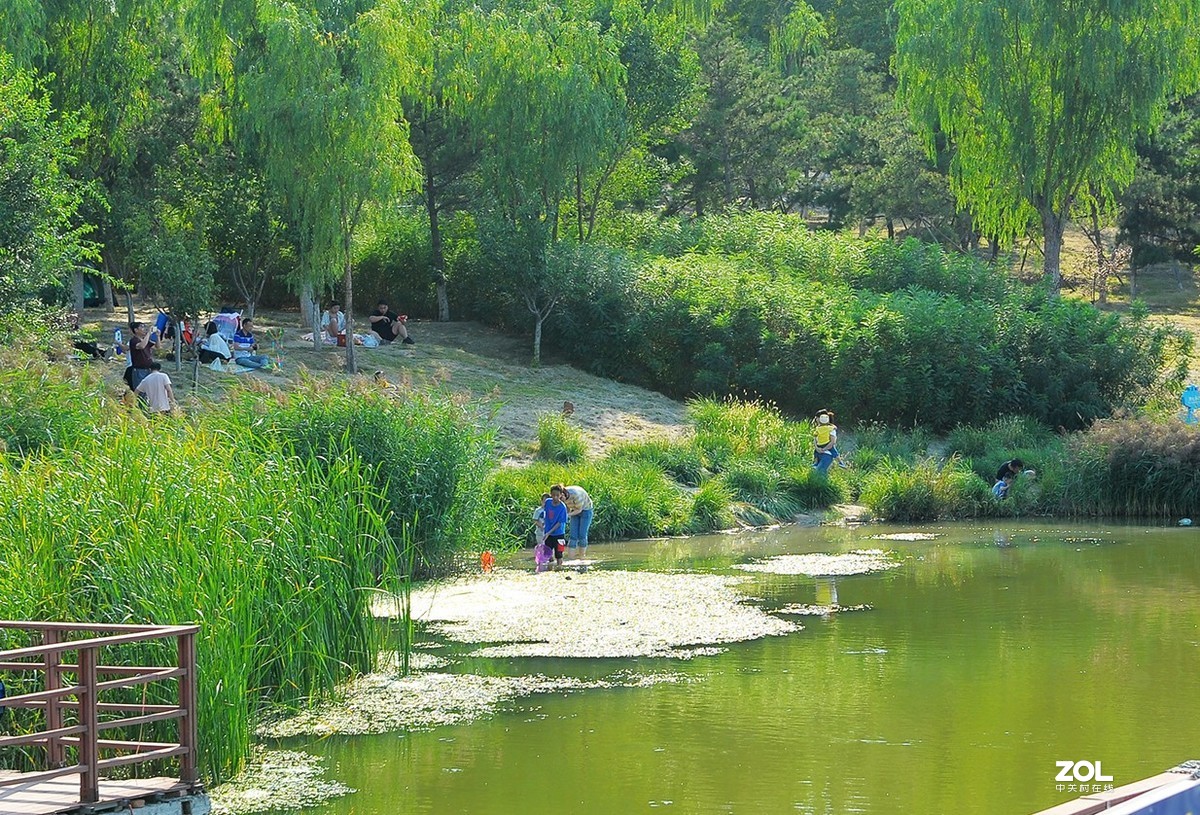 具有很多题材的湿地郊野公园