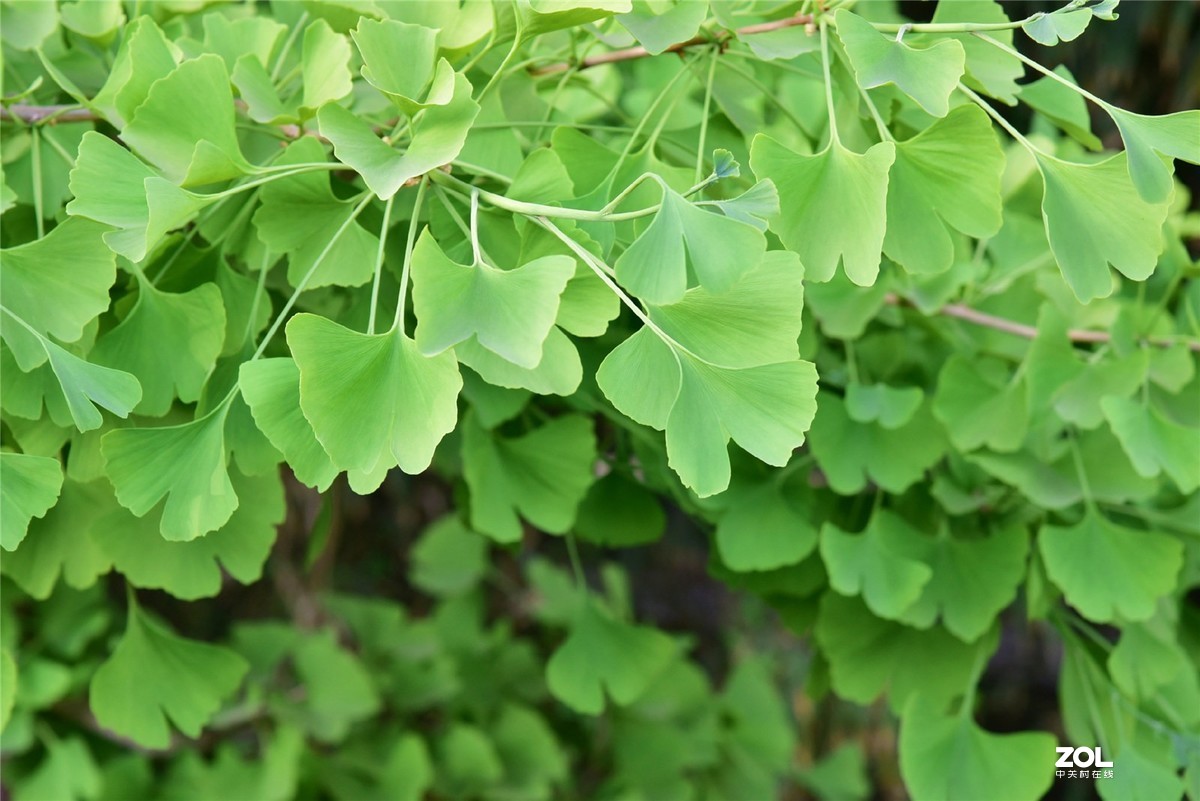 渐次灰暗，所遇安然。