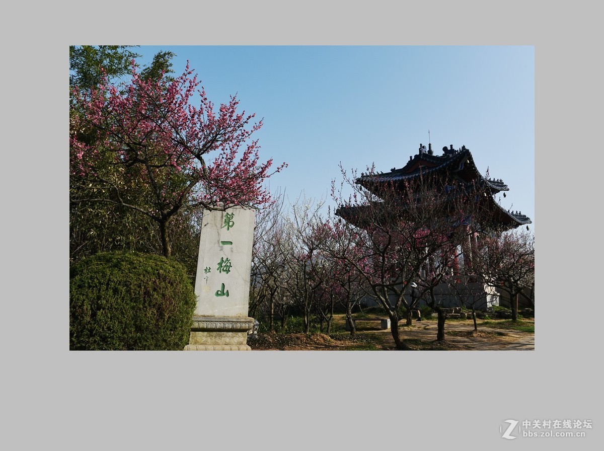 南京第一梅山（全集终）