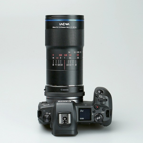 国外评测：老蛙100mm F2.8 2X Ultra Macro APO 镜头评测