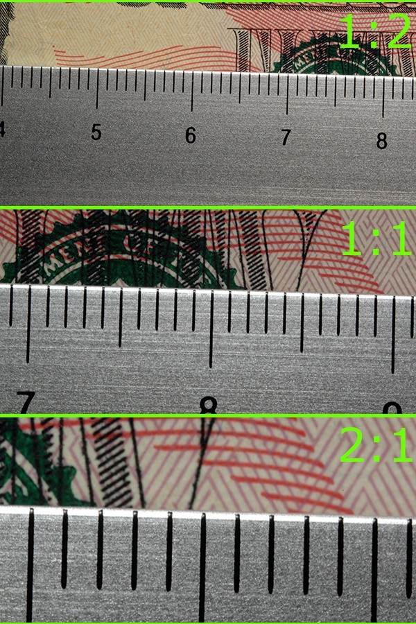 国外评测：老蛙100mm F2.8 2X Ultra Macro APO 镜头评测