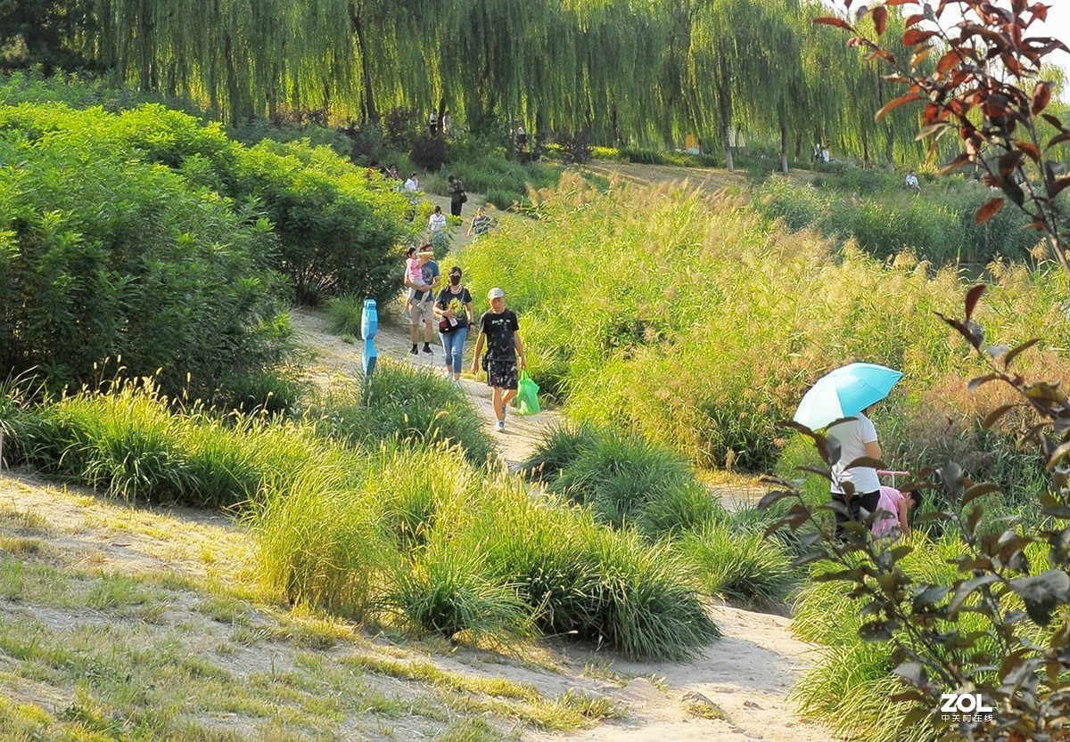 具有很多题材的湿地郊野公园
