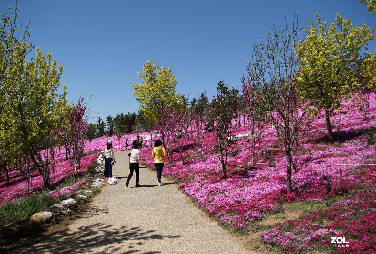 神州遊拍大連英歌石植物園1