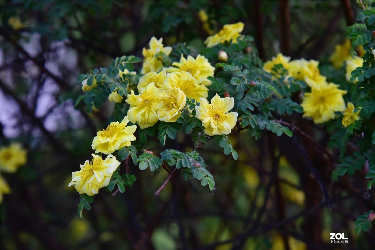 渐次灰暗，所遇安然。