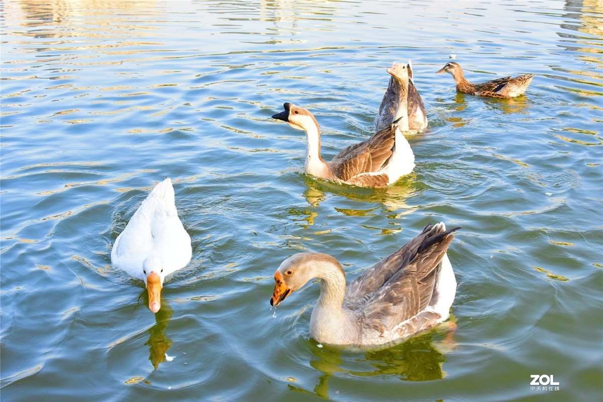 渐次灰暗，所遇安然。