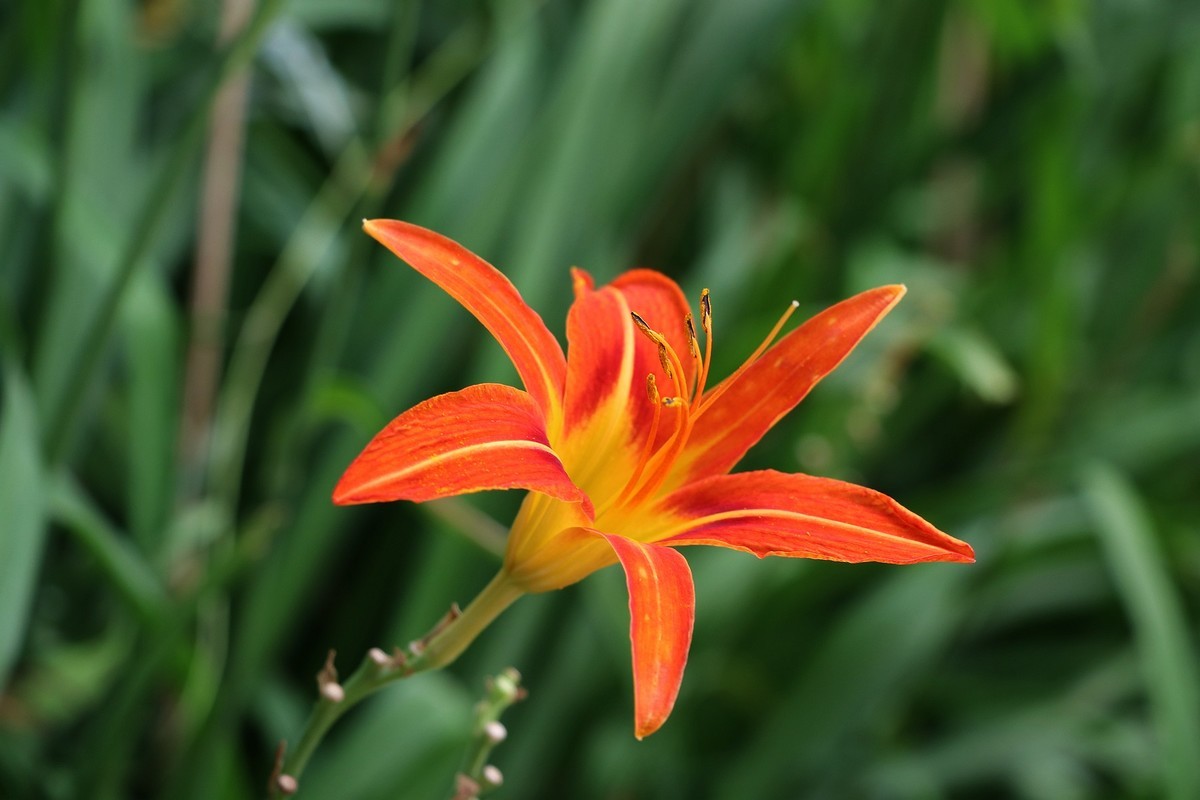 一组清晨公园杂拍