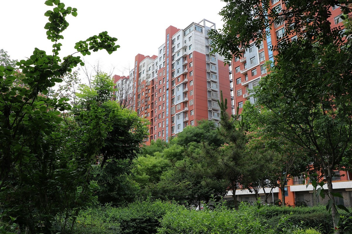 一组清晨公园杂拍