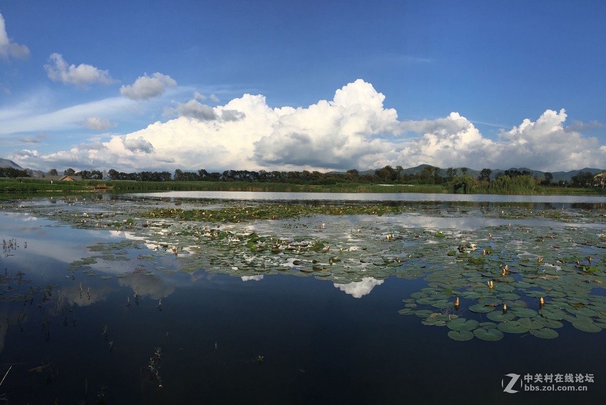 中新嘉丽泽湿地