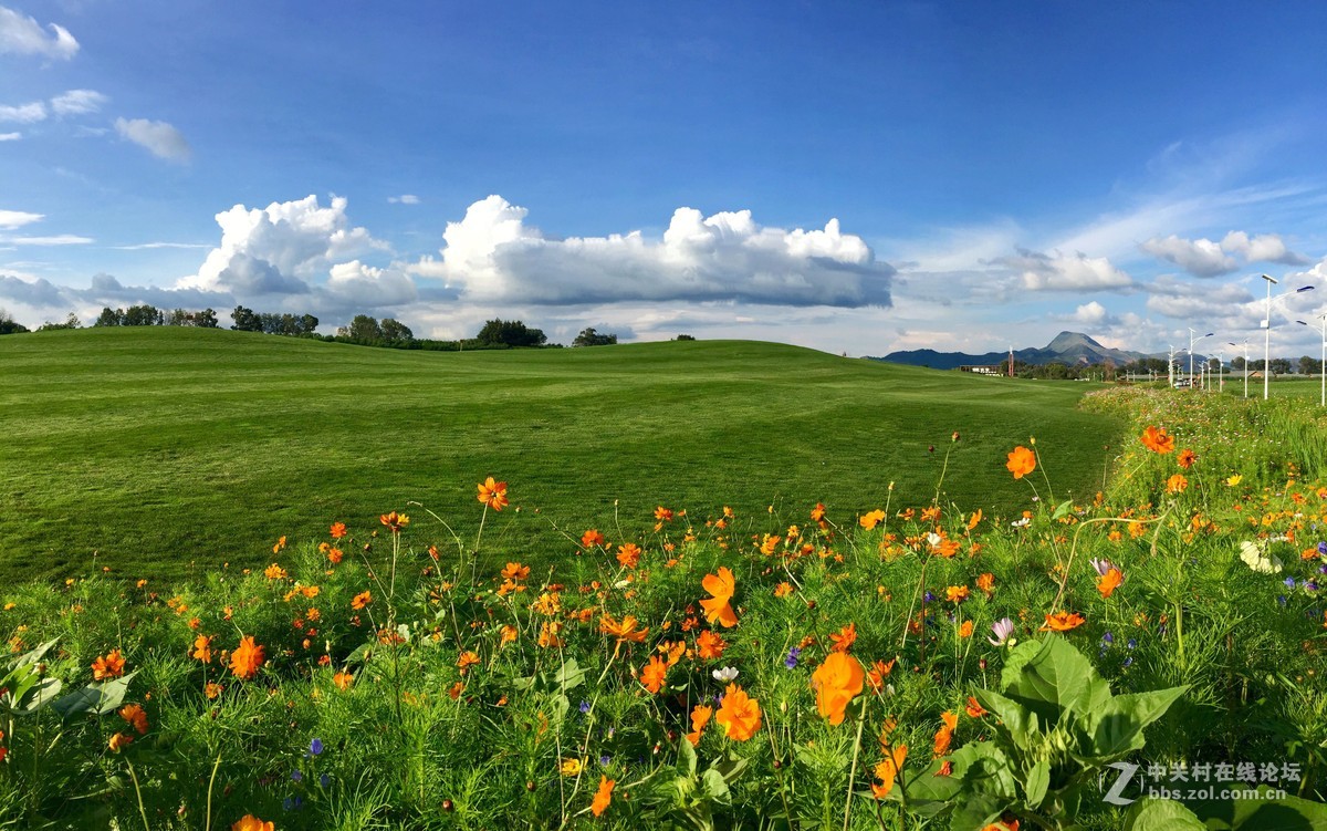 中新嘉丽泽湿地