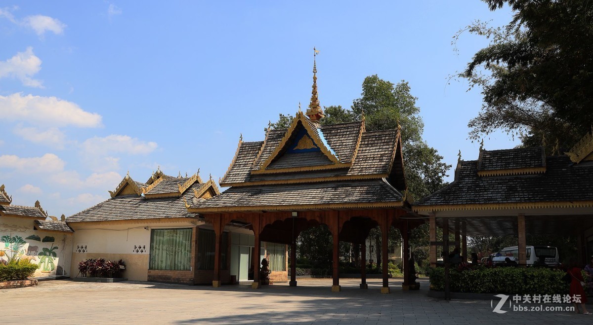 云南西双版纳之旅——〈11〉独树成林景区