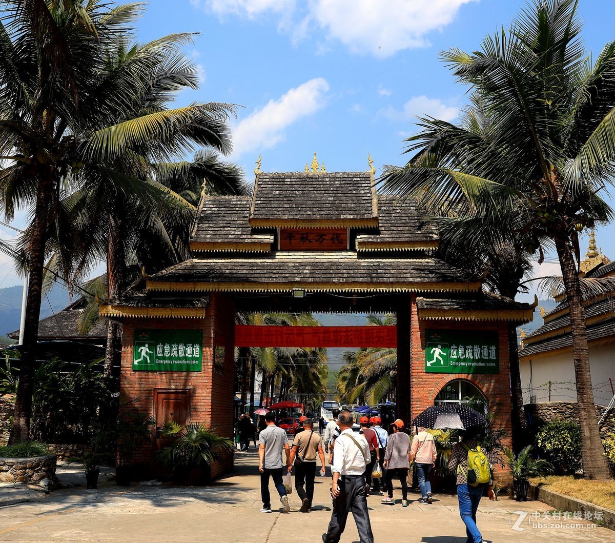 云南西双版纳之旅——〈11〉独树成林景区