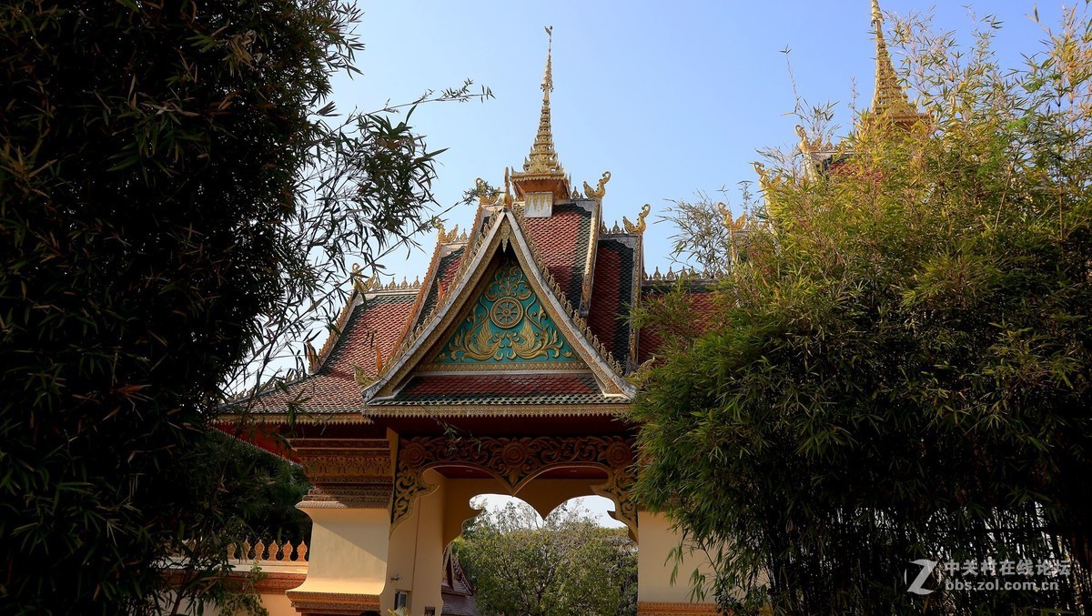 云南西双版纳之旅——〈11〉独树成林景区