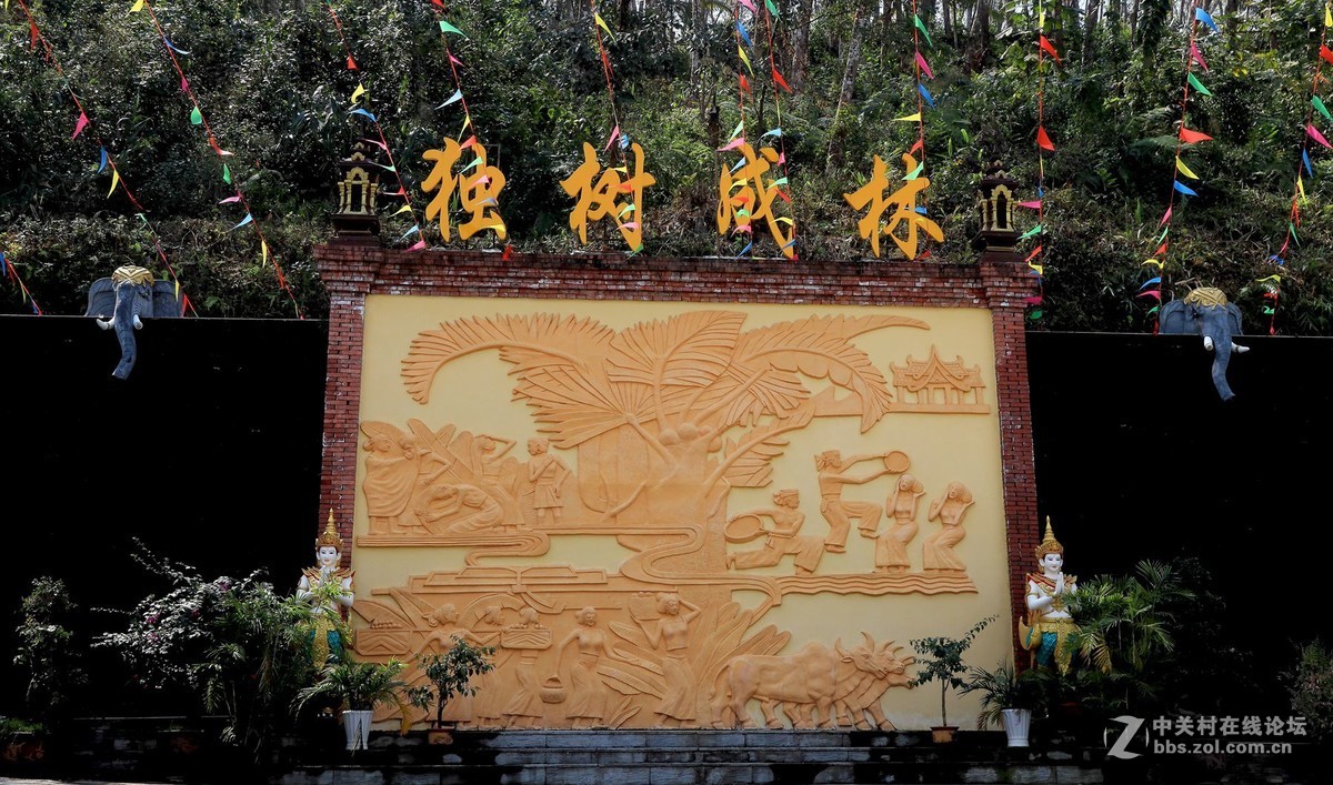 云南西双版纳之旅——〈11〉独树成林景区