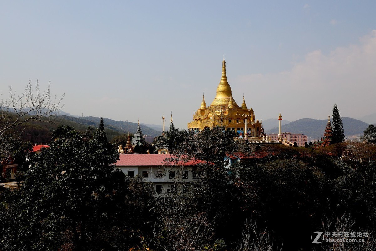 云南西双版纳之旅——〈11〉独树成林景区