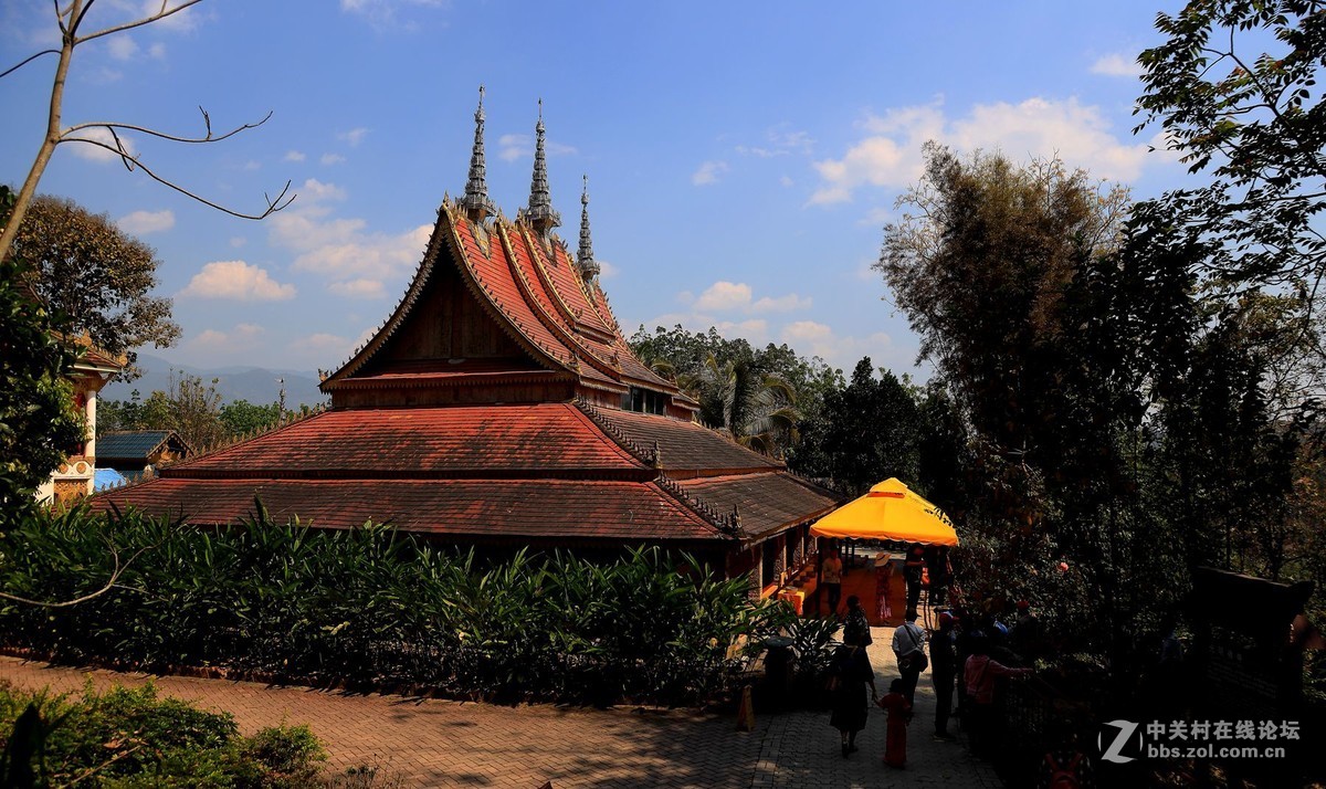 云南西双版纳之旅——〈11〉独树成林景区