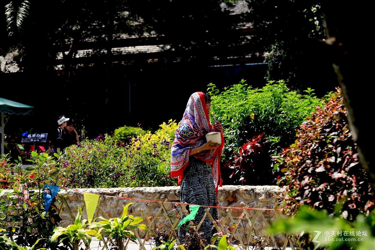 云南西双版纳之旅——〈11〉独树成林景区