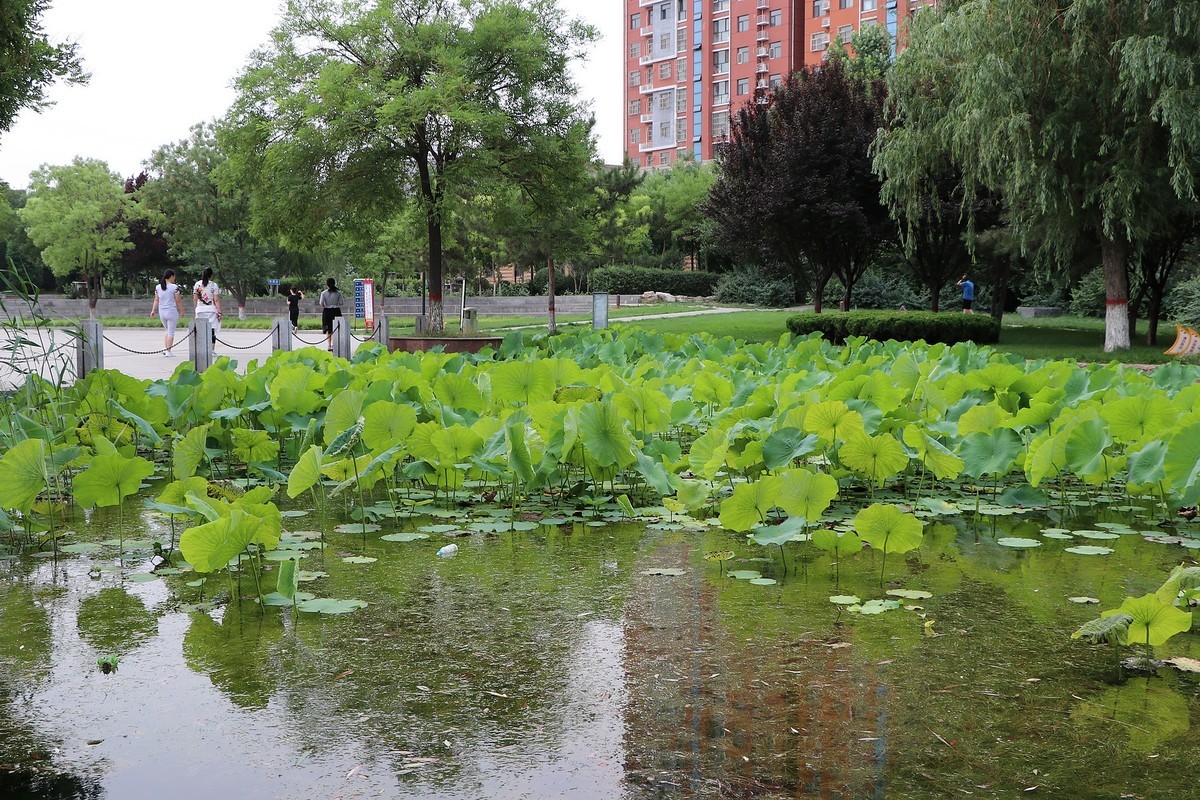 一组清晨公园杂拍