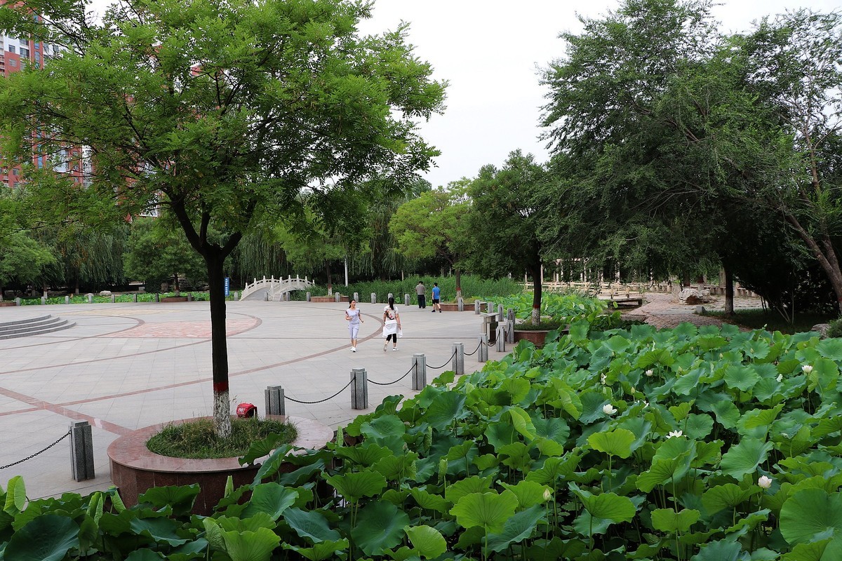 一组清晨公园杂拍