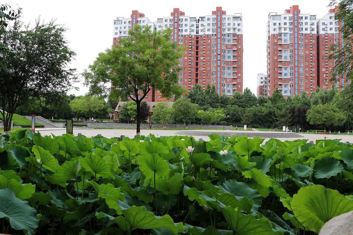 一组清晨公园杂拍